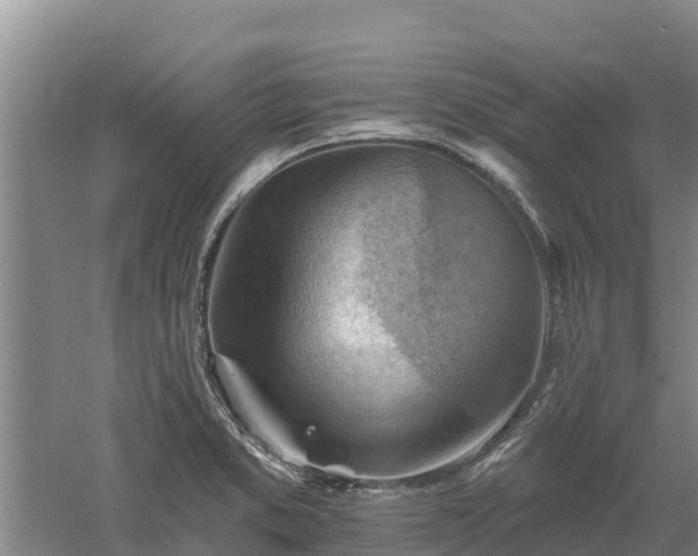 X0000060561373200511101552