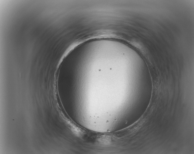 X0000060561374200511101552