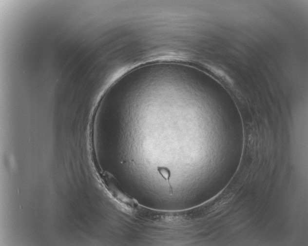 X0000060561375200511101552