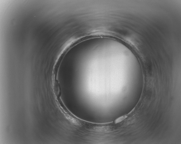 X0000060561376200511101552