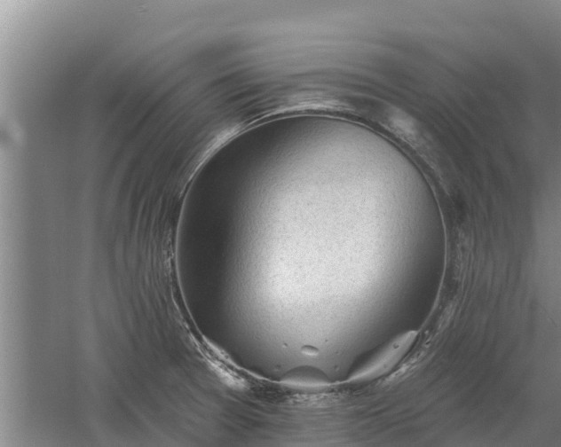 X0000060561377200511101552