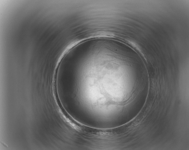 X0000060561379200511101552