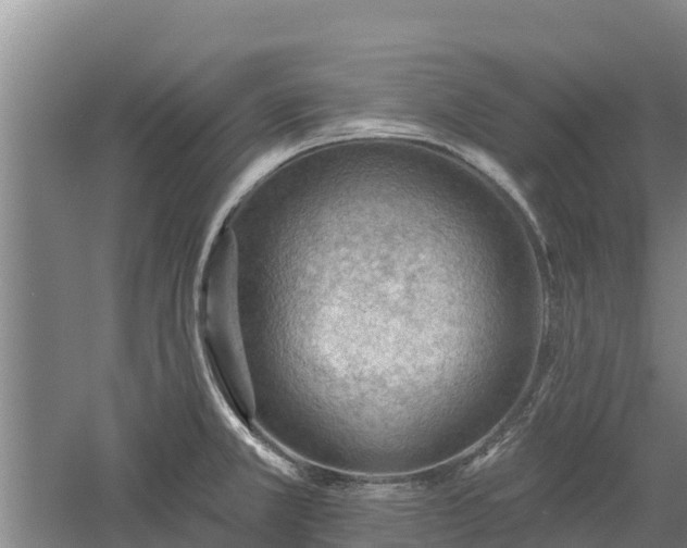 X0000060561381200511101552