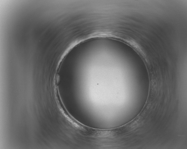 X0000060561382200511101552