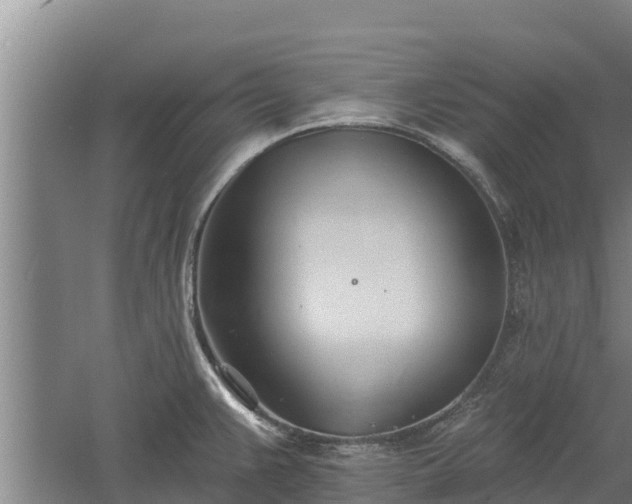 X0000060561383200511101552