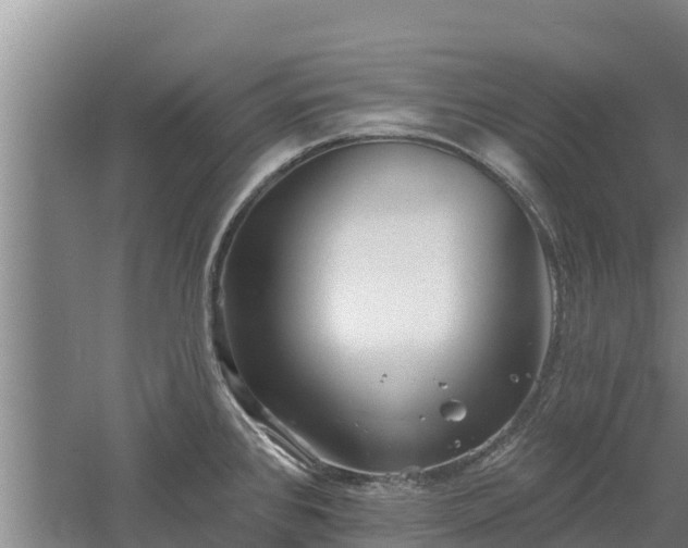 X0000060561384200511101552