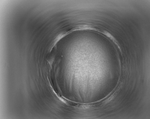 X0000060561385200511101552