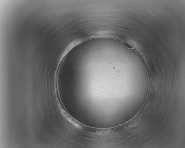 X0000060561386200511101552