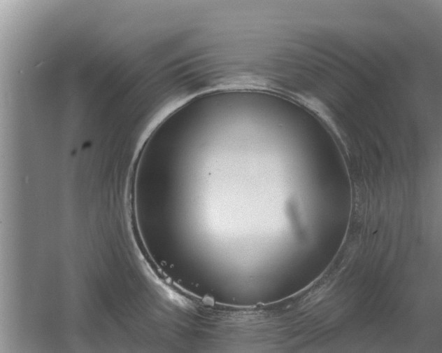 X0000060561387200511101552