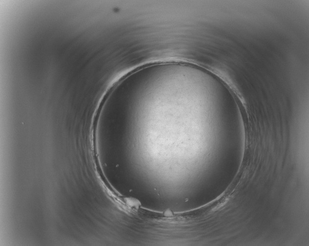 X0000060561388200511101552