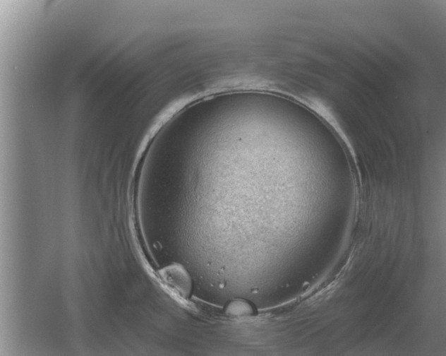 X0000060561389200511101552