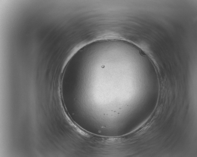 X0000060561390200511101552