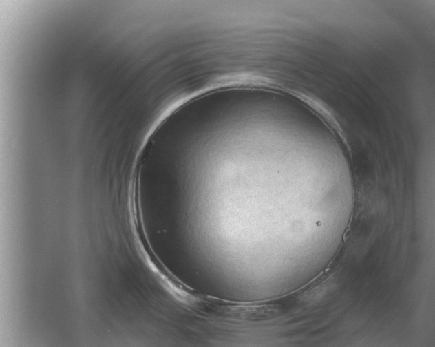 X0000060561391200511101552