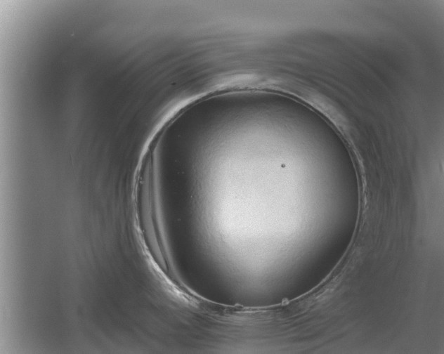 X0000060561392200511101552