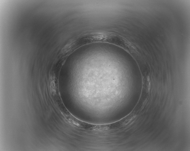 X0000060561394200511101551