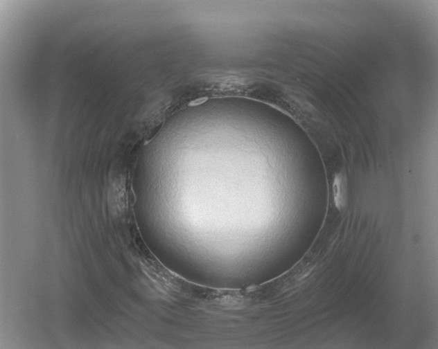 X0000060561395200511101551