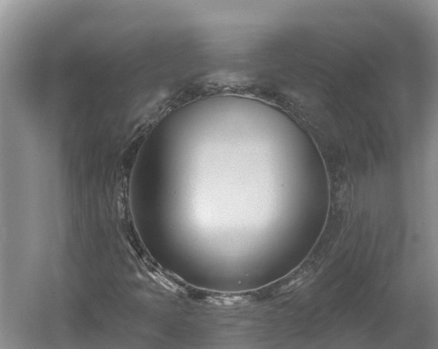 X0000060561397200511101551