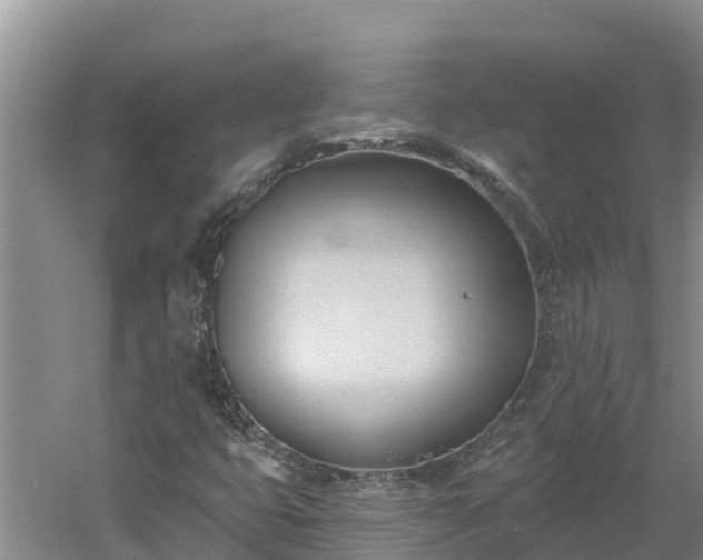 X0000060561399200511101551