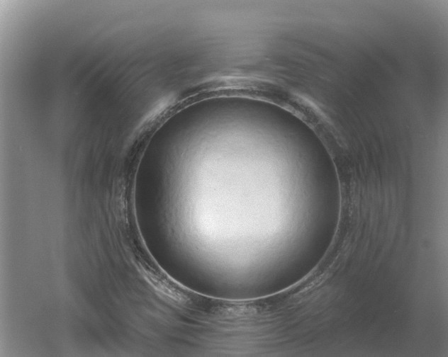 X0000060561403200511101551