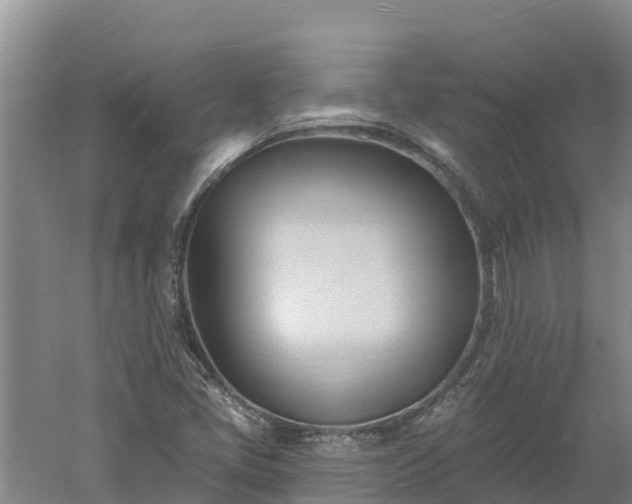 X0000060561405200511101551