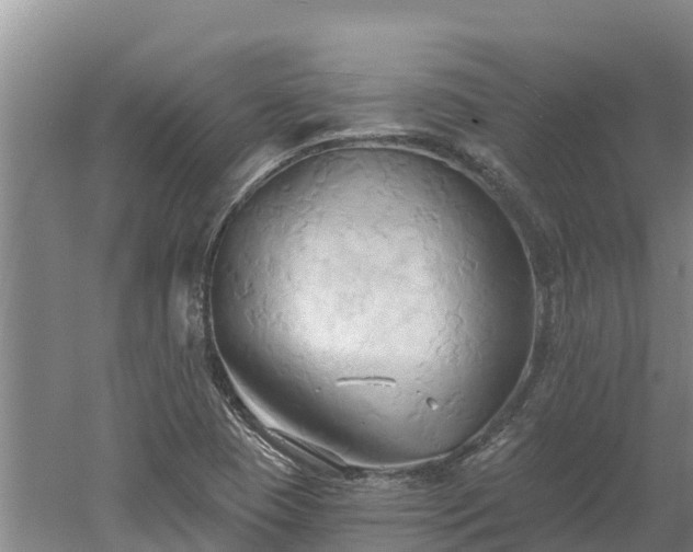 X0000060561409200511101551