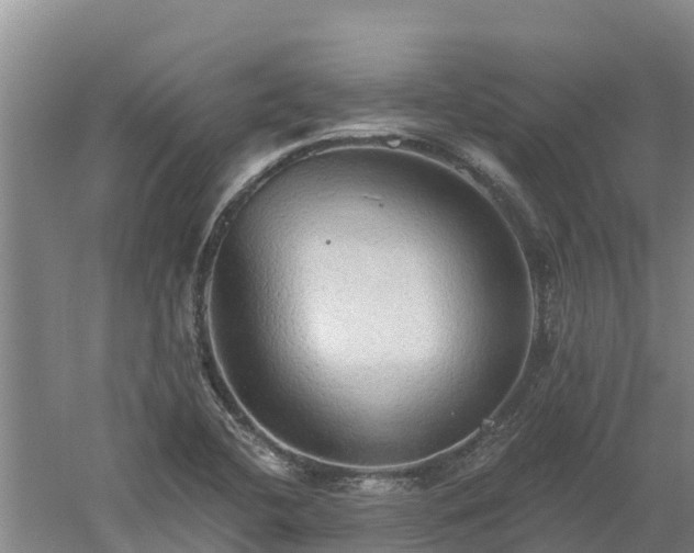 X0000060561412200511101551