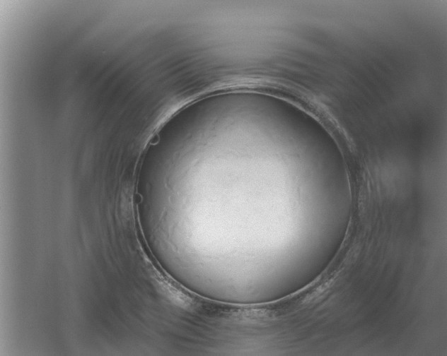 X0000060561417200511101551