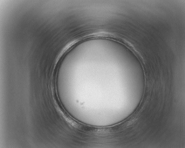 X0000060561418200511101551