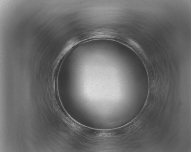 X0000060561419200511101551