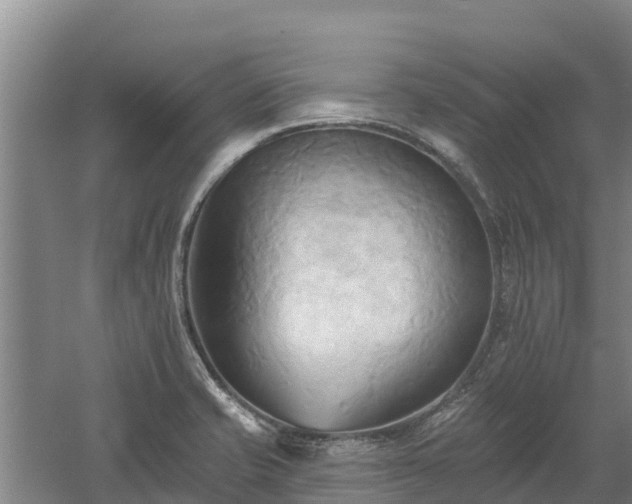 X0000060561421200511101551