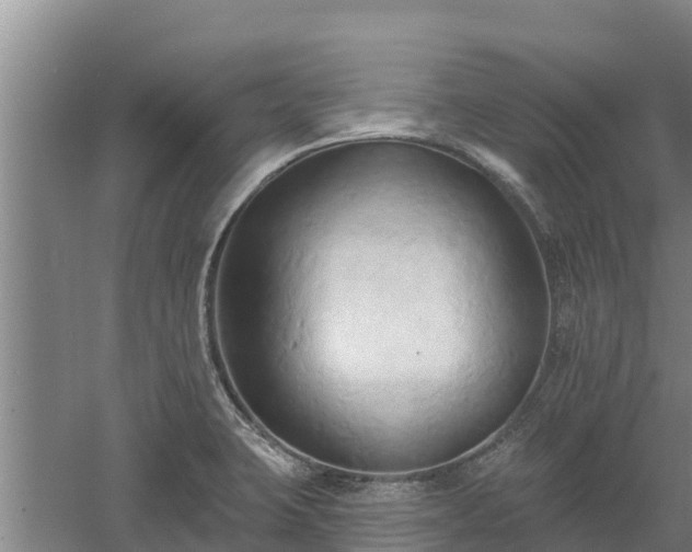 X0000060561423200511101551