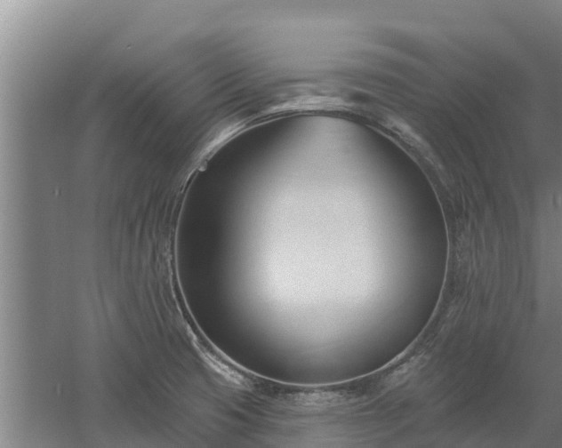 X0000060561425200511101552