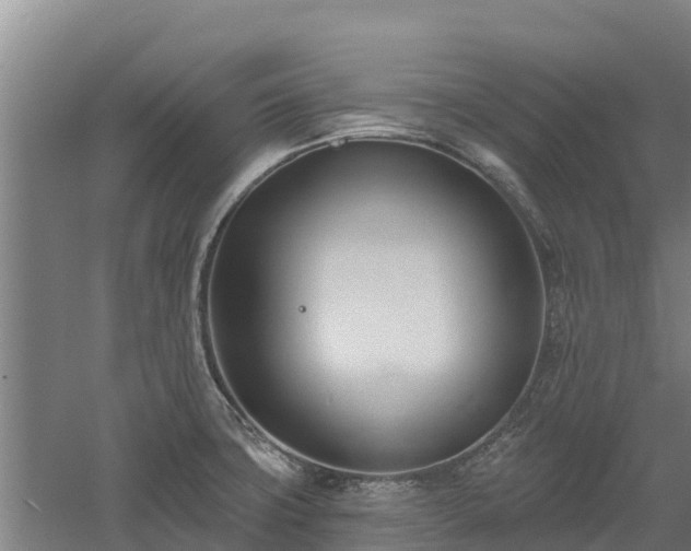 X0000060561427200511101552