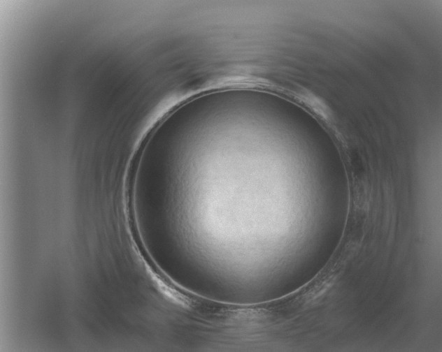 X0000060561430200511101552