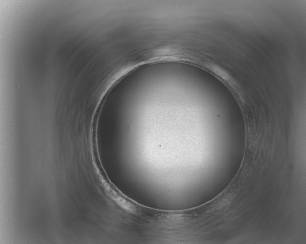 X0000060561431200511101552