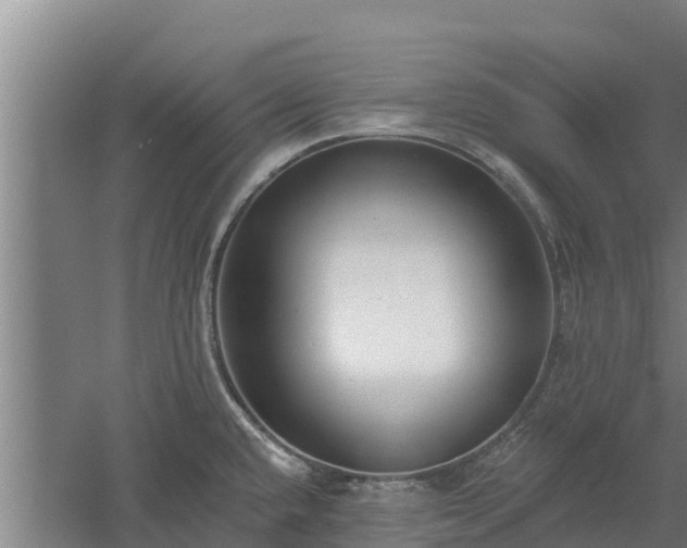 X0000060561432200511101552