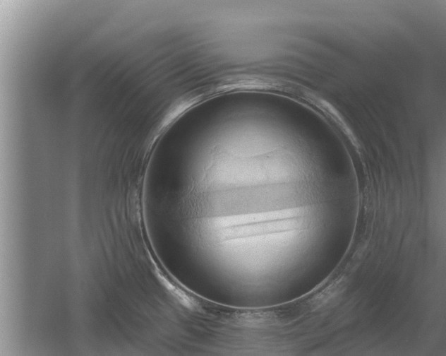 X0000060561433200511101552