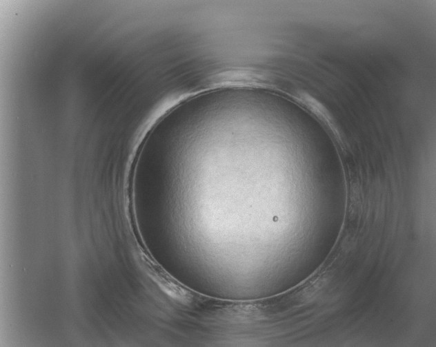 X0000060561435200511101552