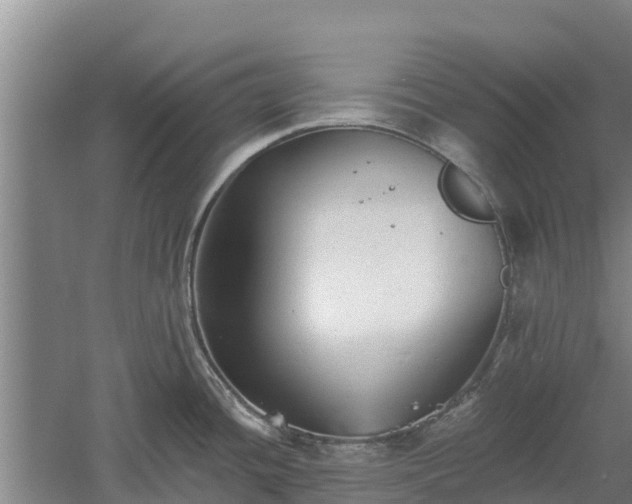 X0000060561436200511101552