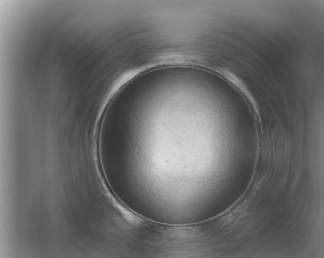 X0000060561437200511101552