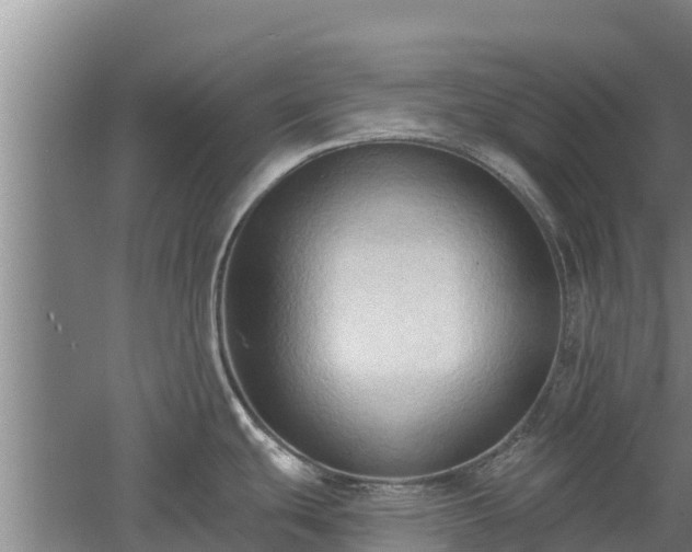 X0000060561439200511101552