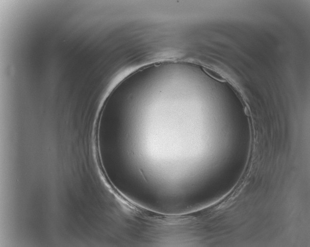 X0000060561440200511101552