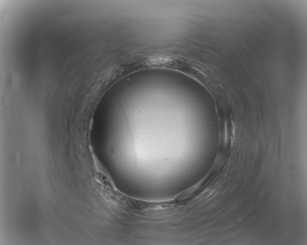 X0000060561441200511101551