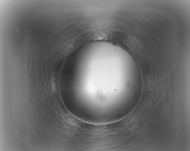 X0000060561442200511101551