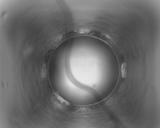 X0000060561443200511101551