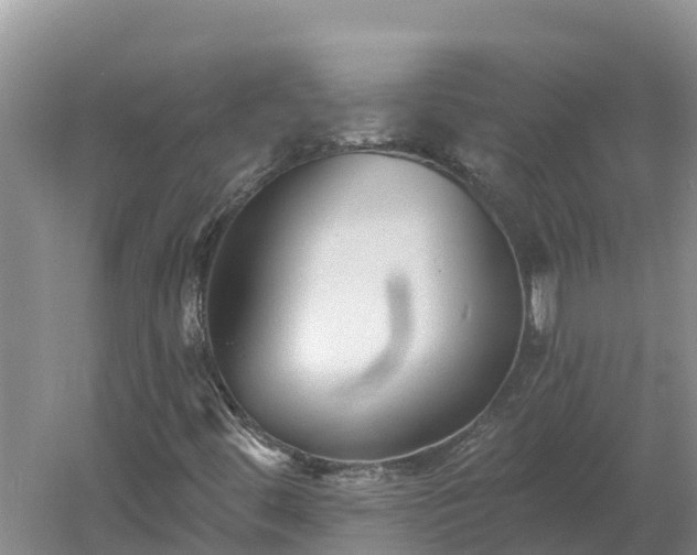 X0000060561444200511101551