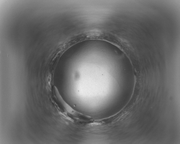 X0000060561445200511101551