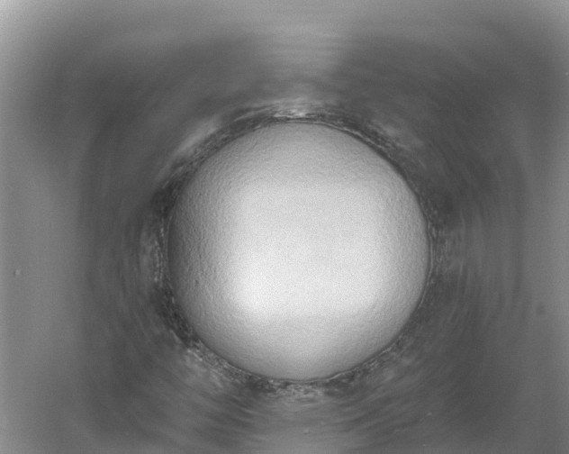 X0000060561446200511101551