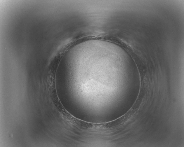 X0000060561447200511101551