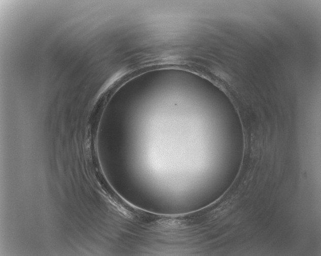 X0000060561450200511101551